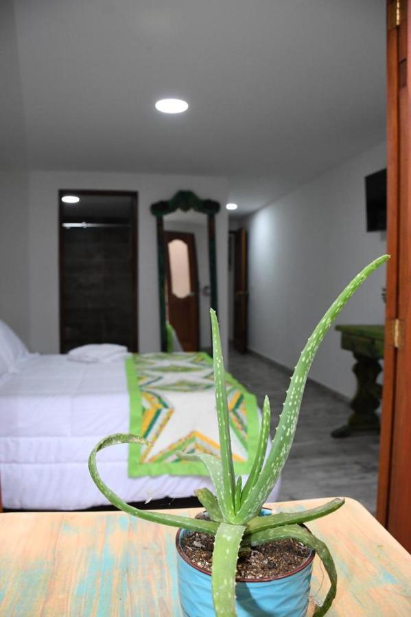 Hotel Paisa Territory Jardín Zewnętrze zdjęcie